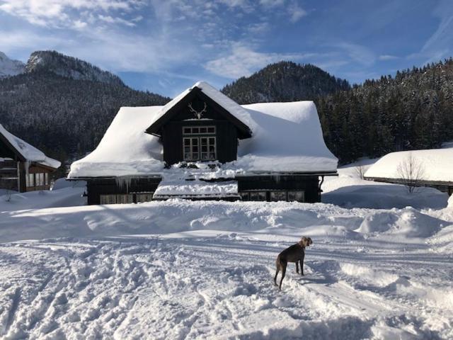 Die Alte Blaa Altaussee Exteriér fotografie