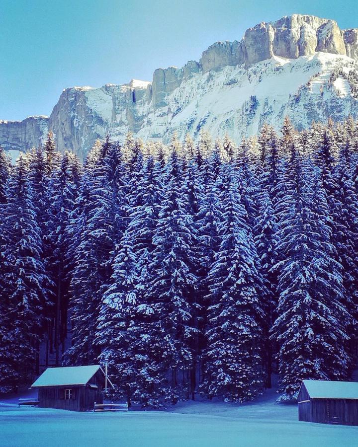 Die Alte Blaa Altaussee Exteriér fotografie